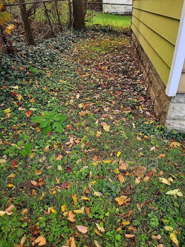 571 Bertha Ave - Photo 4 of 29