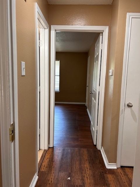 13537 Sheldon Lane - Photo 7 of 12