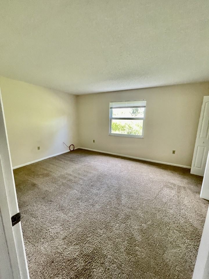 Palm City Apartments - Photo 4 of 19