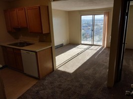featured image of 321 N 5th St ##33