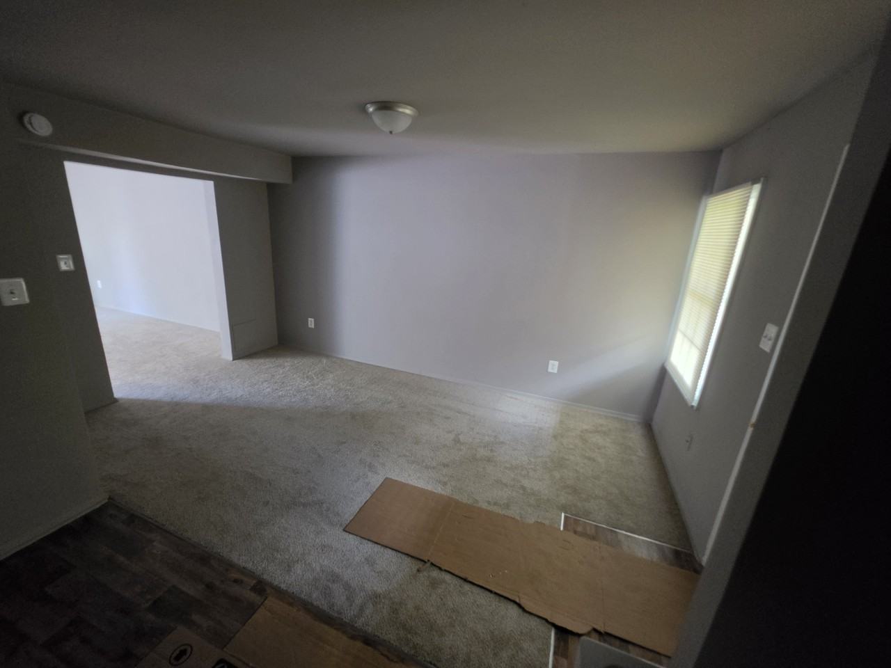 9736 Bragg Ln #9736B - Photo 6 of 7