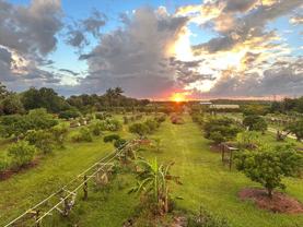 13098 Ficus Tree Ln - Photo 1 of 1