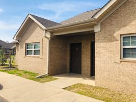 featured image of 4299 Dena Jo #129