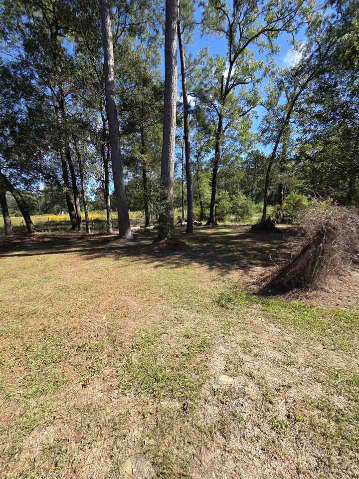 1220 Capri St #1 - Photo 5 of 29