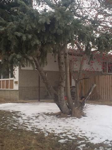 3802 47 St - Photo 3 of 4