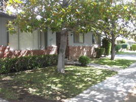 featured image of 227 Hollis Ave