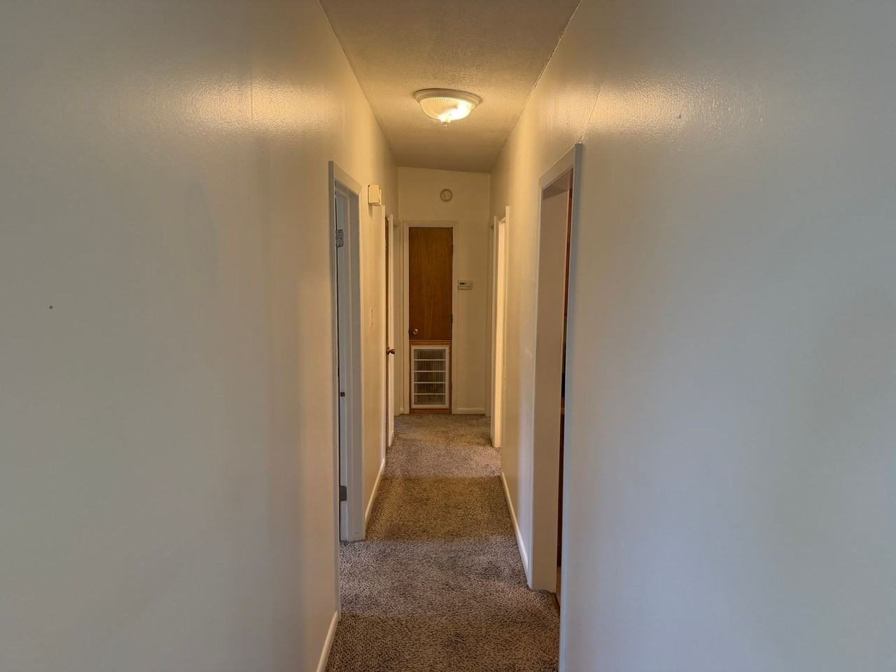 910 Rocky St - Photo 6 of 11