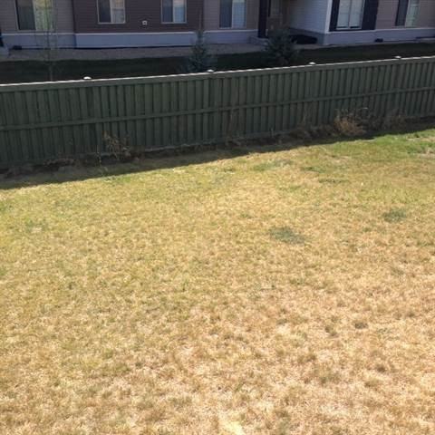 11827 21 Ave SW - Photo 3 of 8