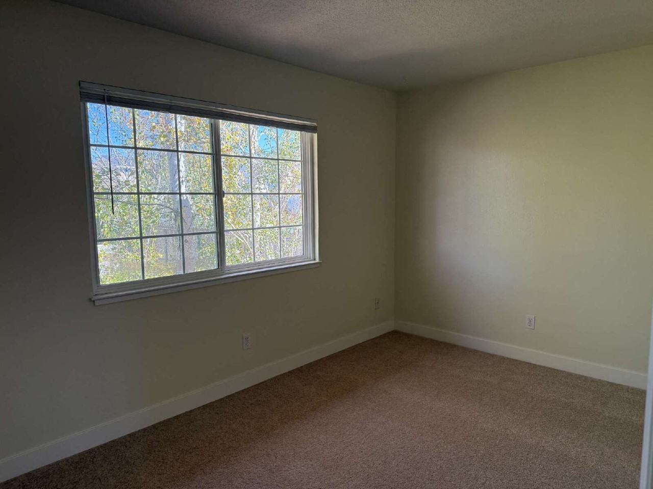 2268 Capitola Rd - Photo 5 of 8
