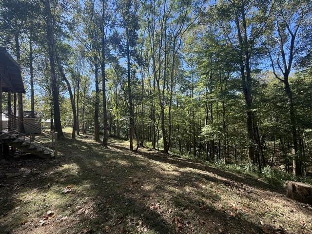 3549 New Hope Rd - Photo 3 of 6