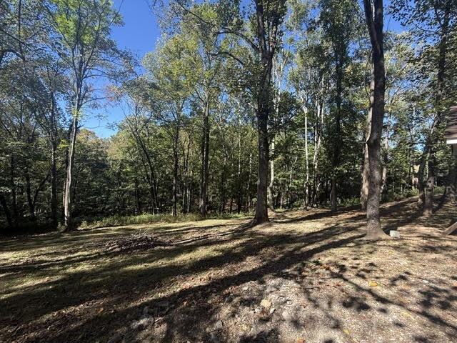 3549 New Hope Rd - Photo 5 of 6