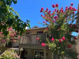 18898 Sara Park Cir - Photo 1 of 1