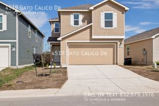 4519 Gato Calico Dr - Photo 1 of 1
