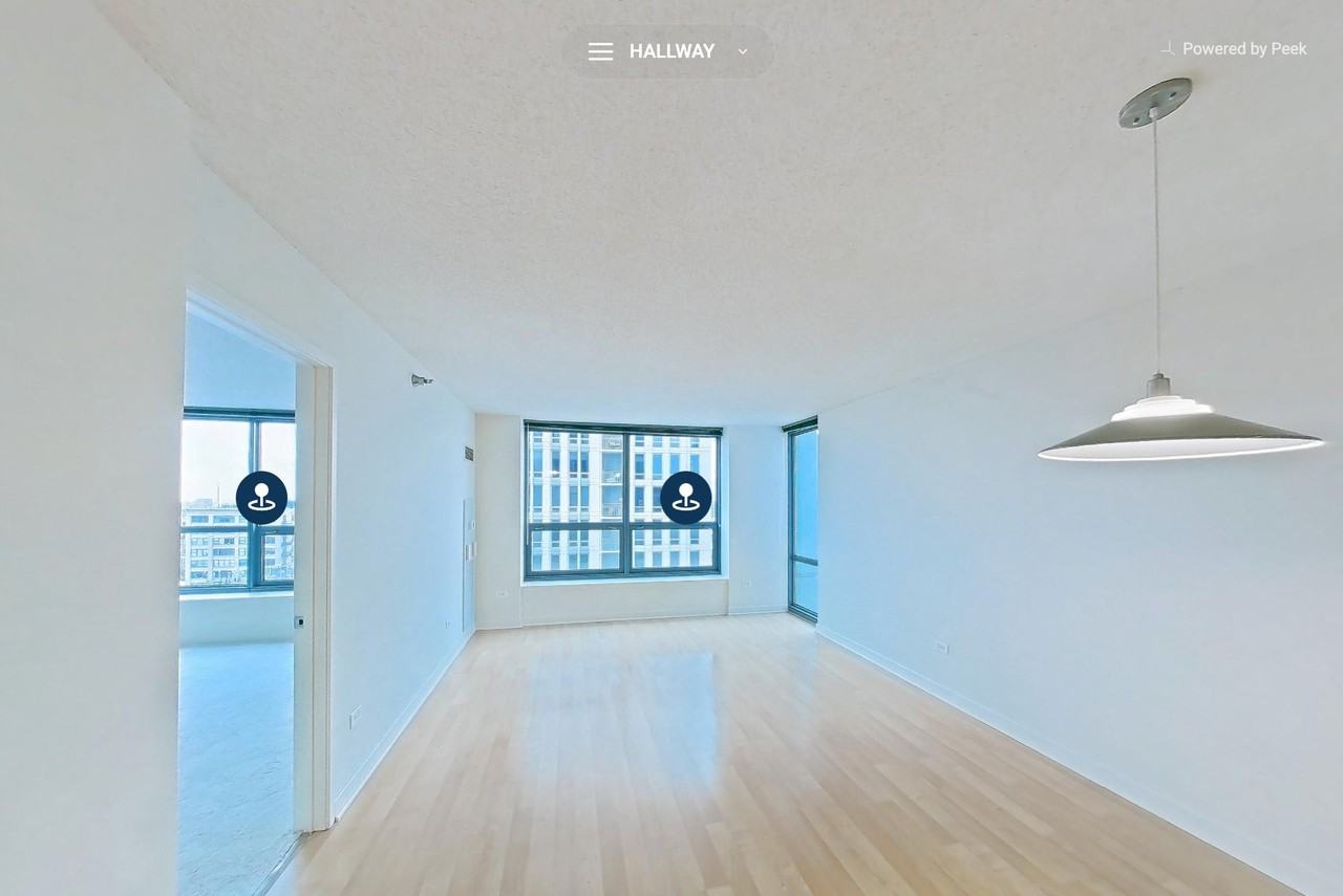 1251 S Michigan Ave - Photo 2 of 17