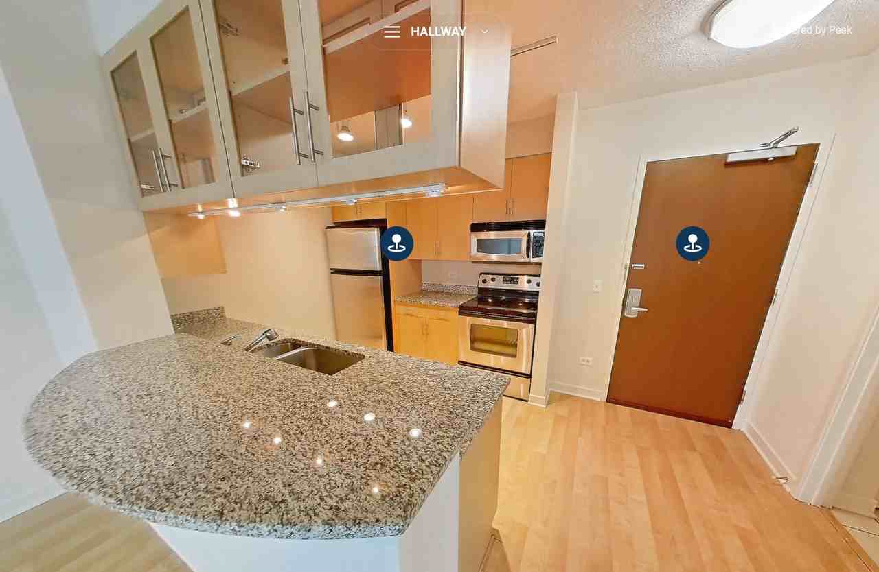 1251 S Michigan Ave - Photo 3 of 17