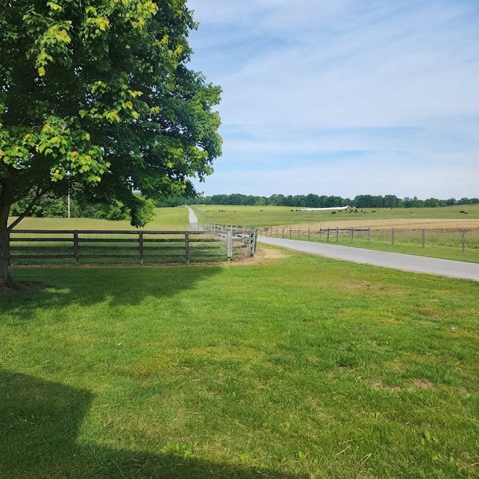 193 Richardsville Airport Rd - Photo 2 of 10