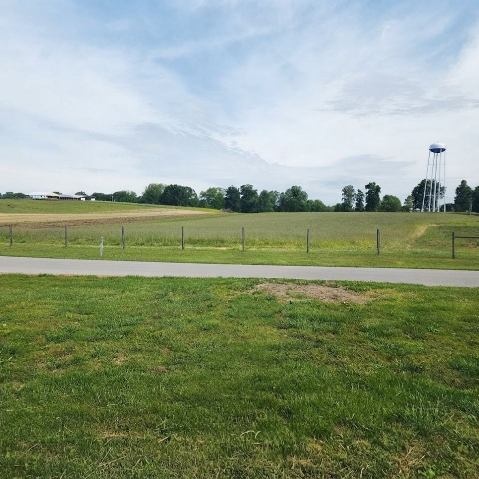 193 Richardsville Airport Rd - Photo 3 of 10