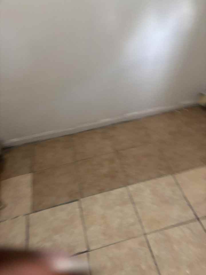 943 State St #1stFL - Photo 6 of 16