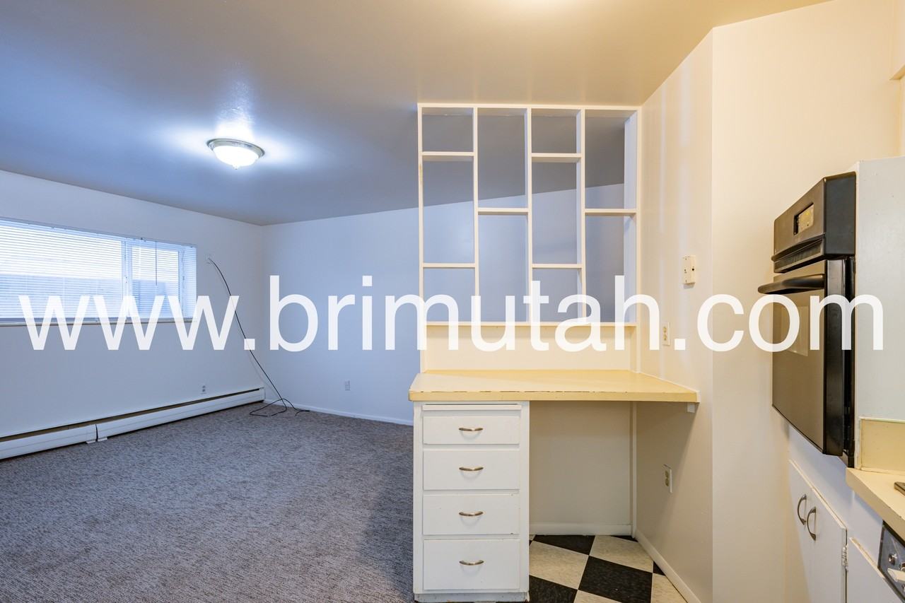 243 South 600 East - Photo 5 of 17