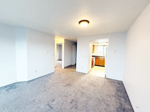 2161 Spring East Street - Photo 6 of 18