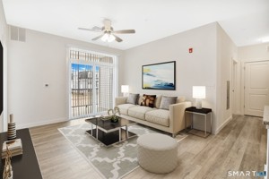 featured image of 280 Salmon Brook St #1303