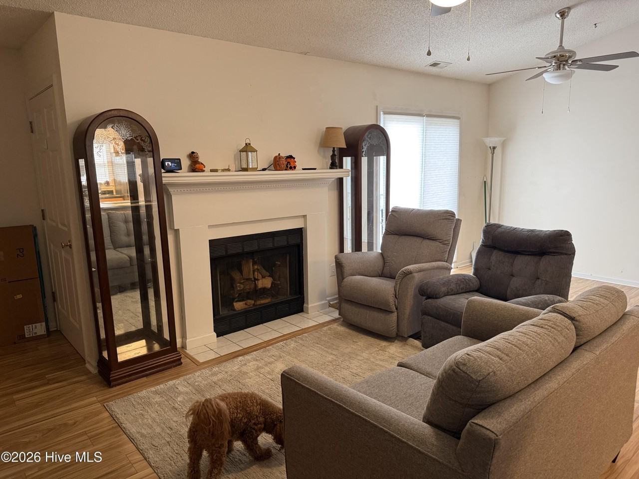 103 Loblolly Ln - Photo 3 of 15