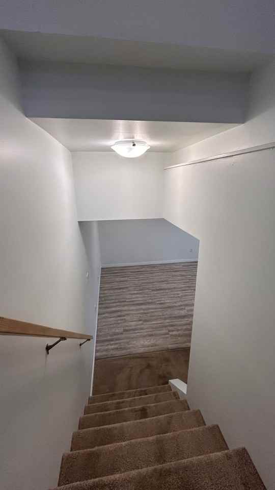 Newton - 12030 54 ST NW Bsmt - Photo 3 of 15