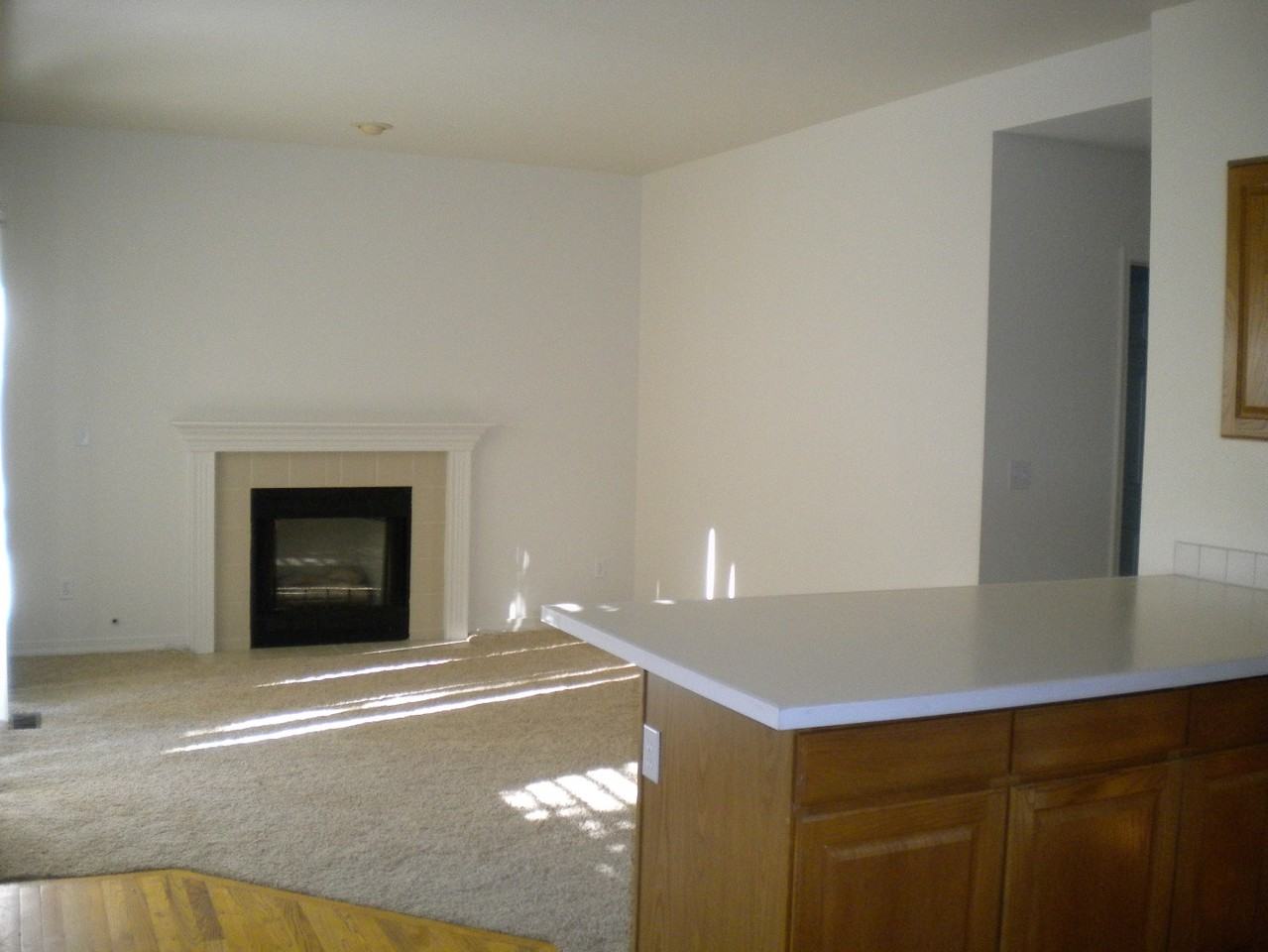 4732 Kings Ridge Blvd - Photo 6 of 17
