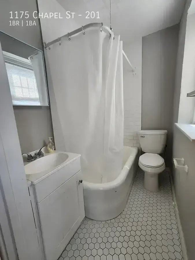 1175 Chapel St #201 - Photo 7 of 8