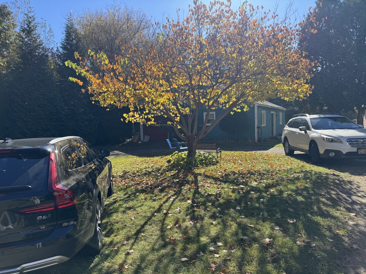 310 W Circular St #NA - Photo 4 of 22
