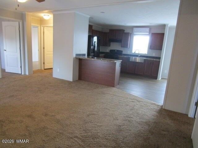 1852 Rainbow Cir - Photo 5 of 29