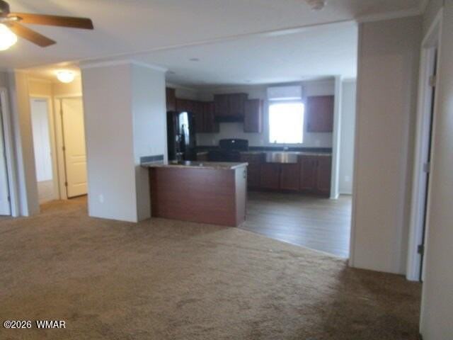 1852 Rainbow Cir - Photo 6 of 29