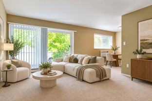 Dorchester Village Apartments - Photo 1 of 1