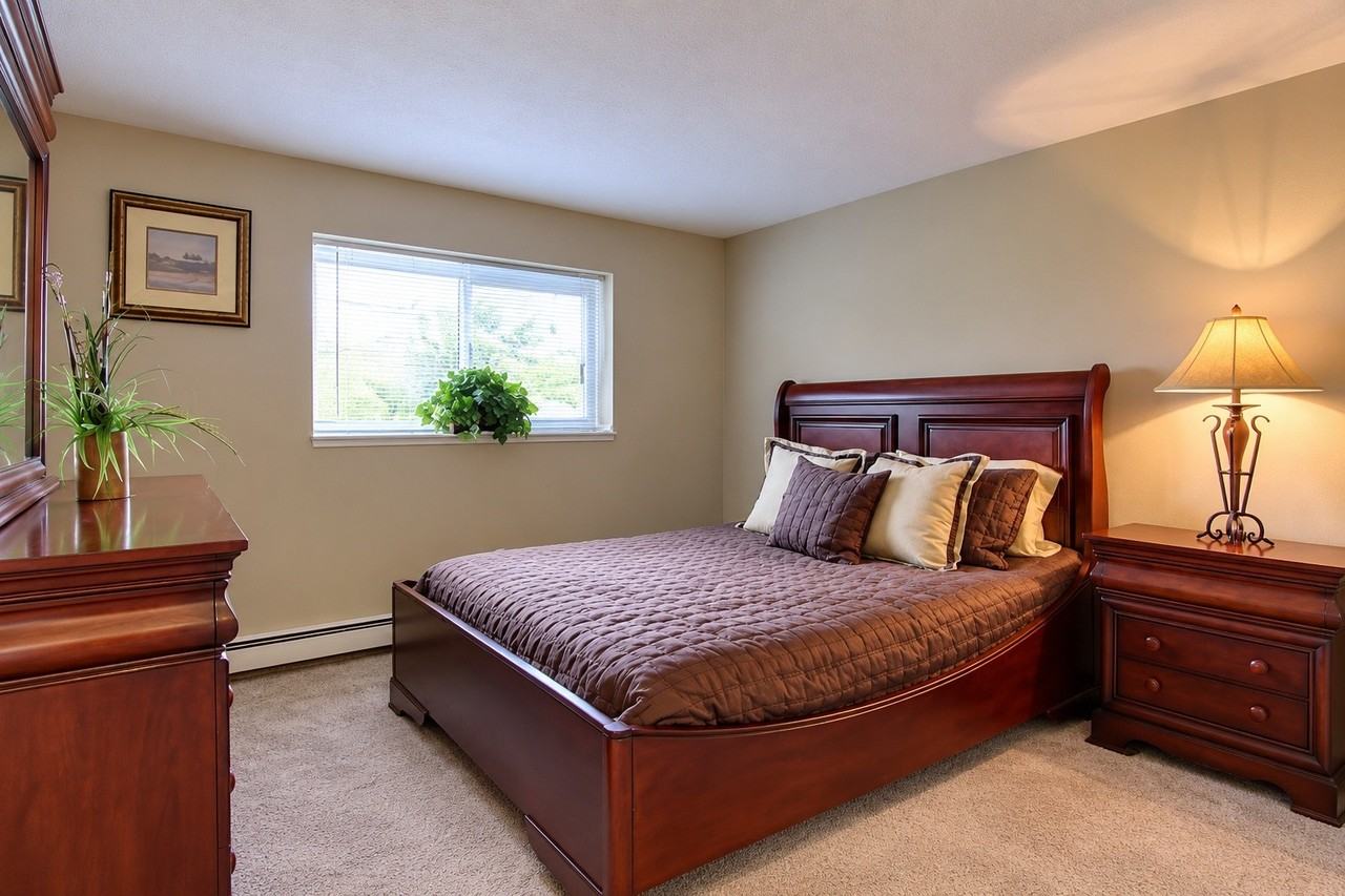Dorchester Village Apartments - Photo 7 of 20
