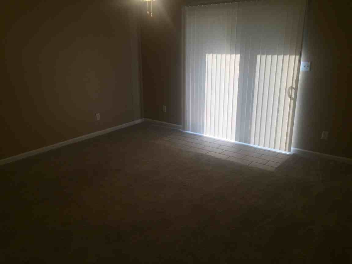 907 Pear St Apt D - Photo 3 of 8