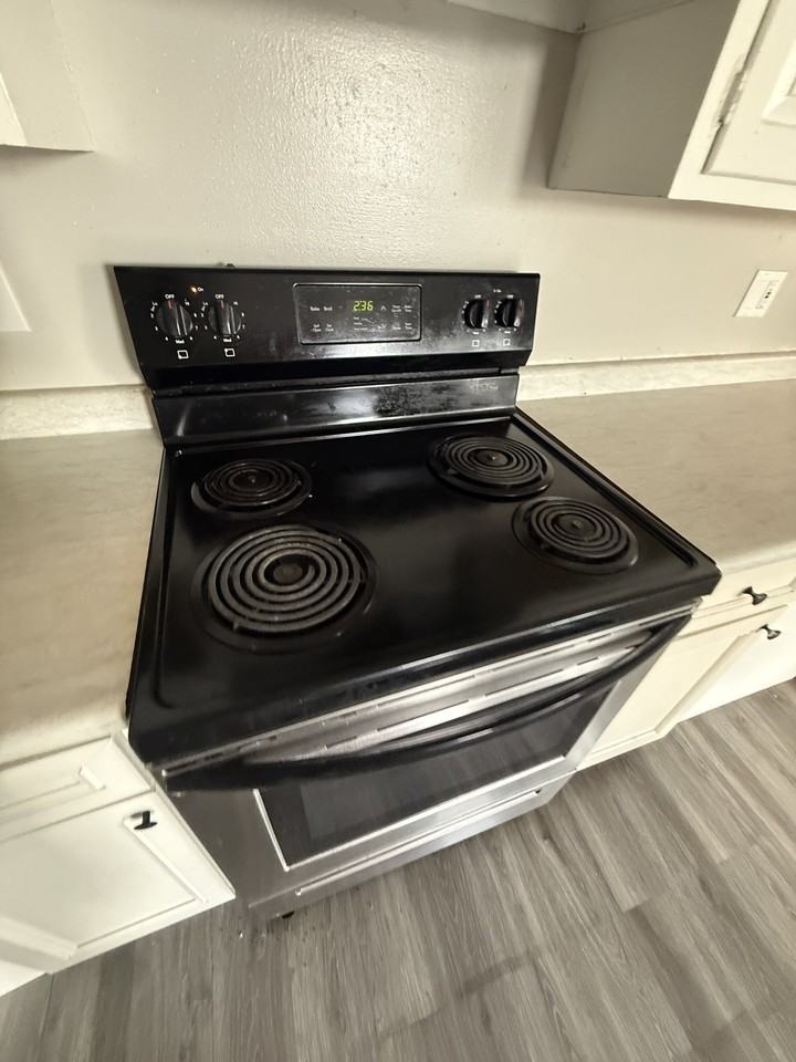 229 Franklin Avenue - Photo 6 of 15