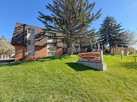 Cedarwood MSU Apartments - Photo 1 of 1