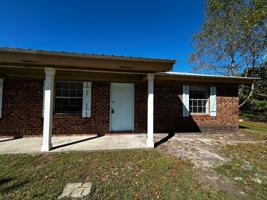 featured image of Live Oak Dr
