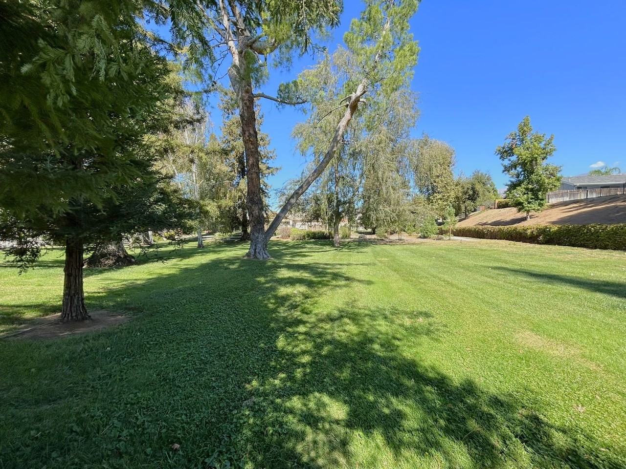 36184 Gingertree Trl - Photo 4 of 20