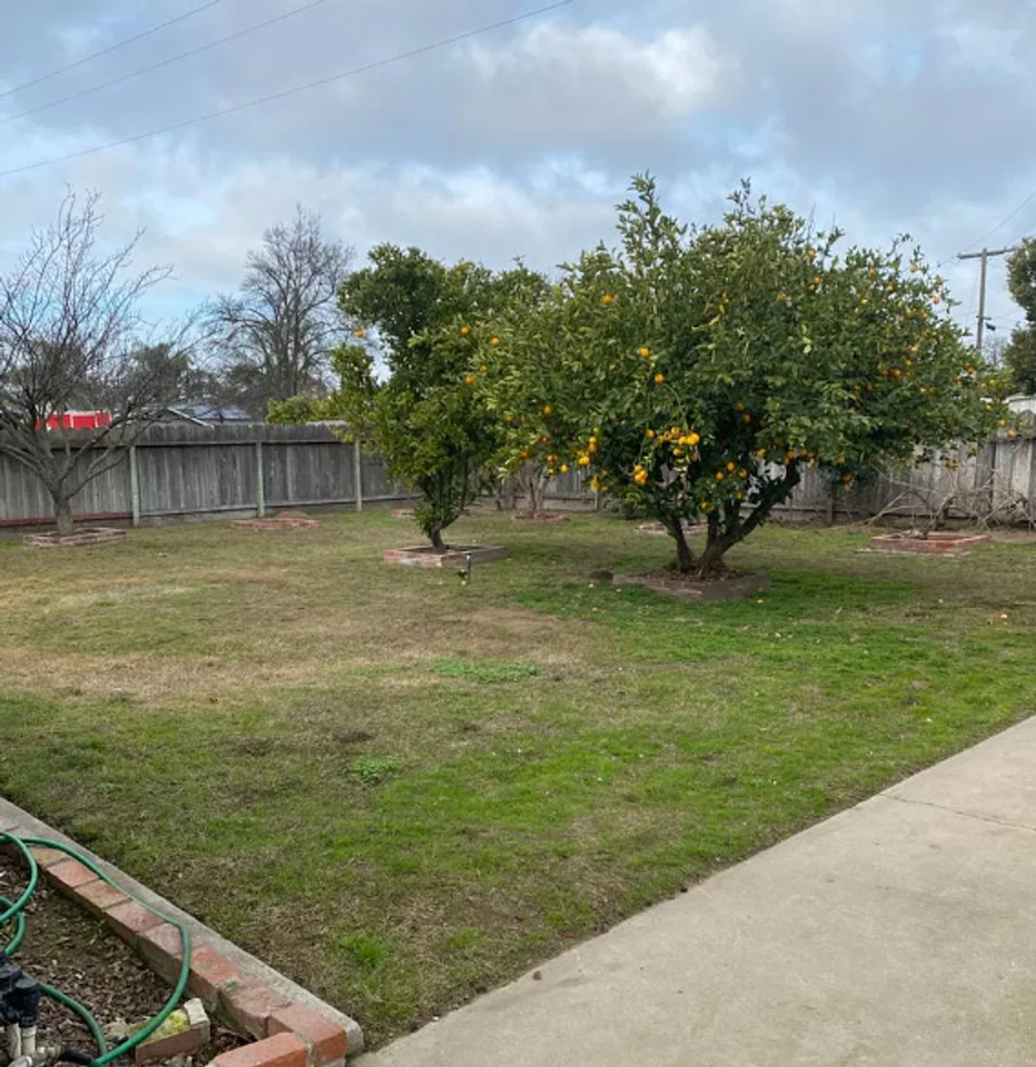 615 Sierra St - Photo 6 of 9