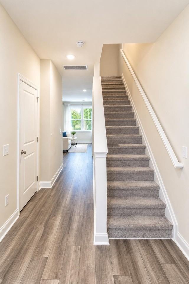 507 Scarlett Maple St - Photo 3 of 20