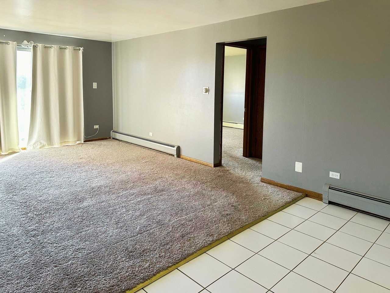 10524 S Pulaski Rd #3SE - Photo 6 of 11