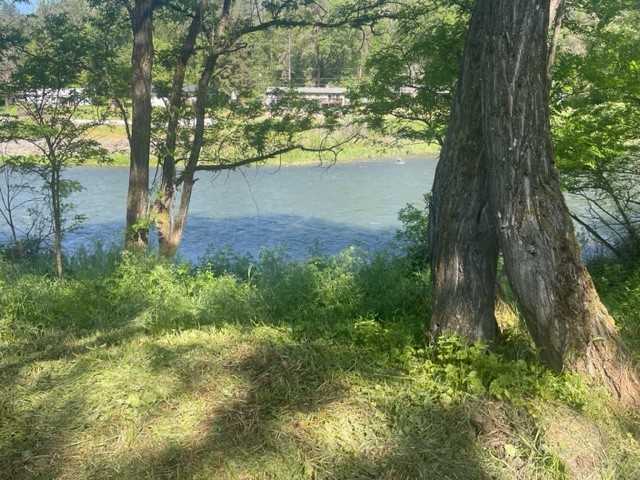 8020 Rogue River Hwy #1 - Photo 4 of 14