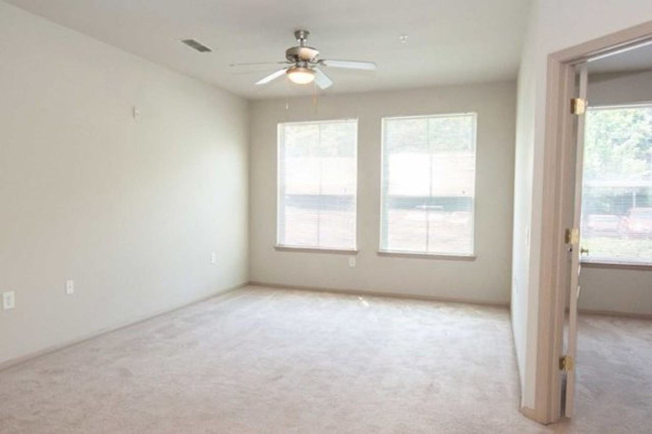 Candler Forrest Apartments - Photo 5 of 25