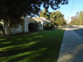 1909 Dracena St - Photo 1 of 1