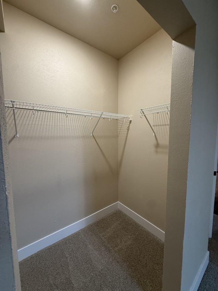 5377 Elyn Loop #208 - Photo 4 of 16