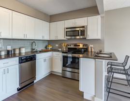 443 W Deming Pl #0205 - Photo 1 of 1