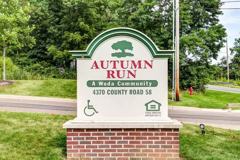 Autumn Run - Photo 1 of 1