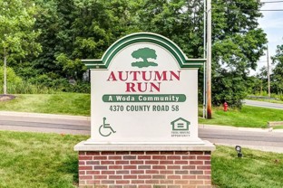 Autumn Run - Photo 1 of 1