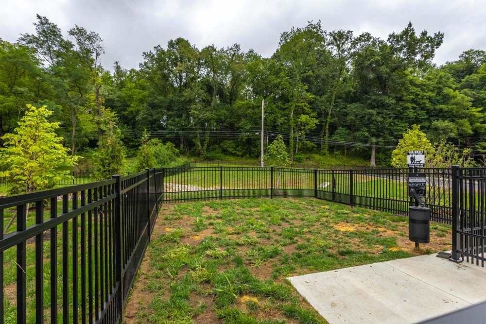 Sells Greene - Photo 5 of 28